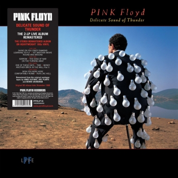 Pink Floyd / Delicate Sound of Thunder / 2Lp